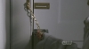 4x06_Where_Did_You_Sleep_Last_Night_(Peyton_Shoot).jpg